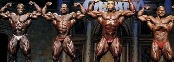 完美先生-肖恩雷