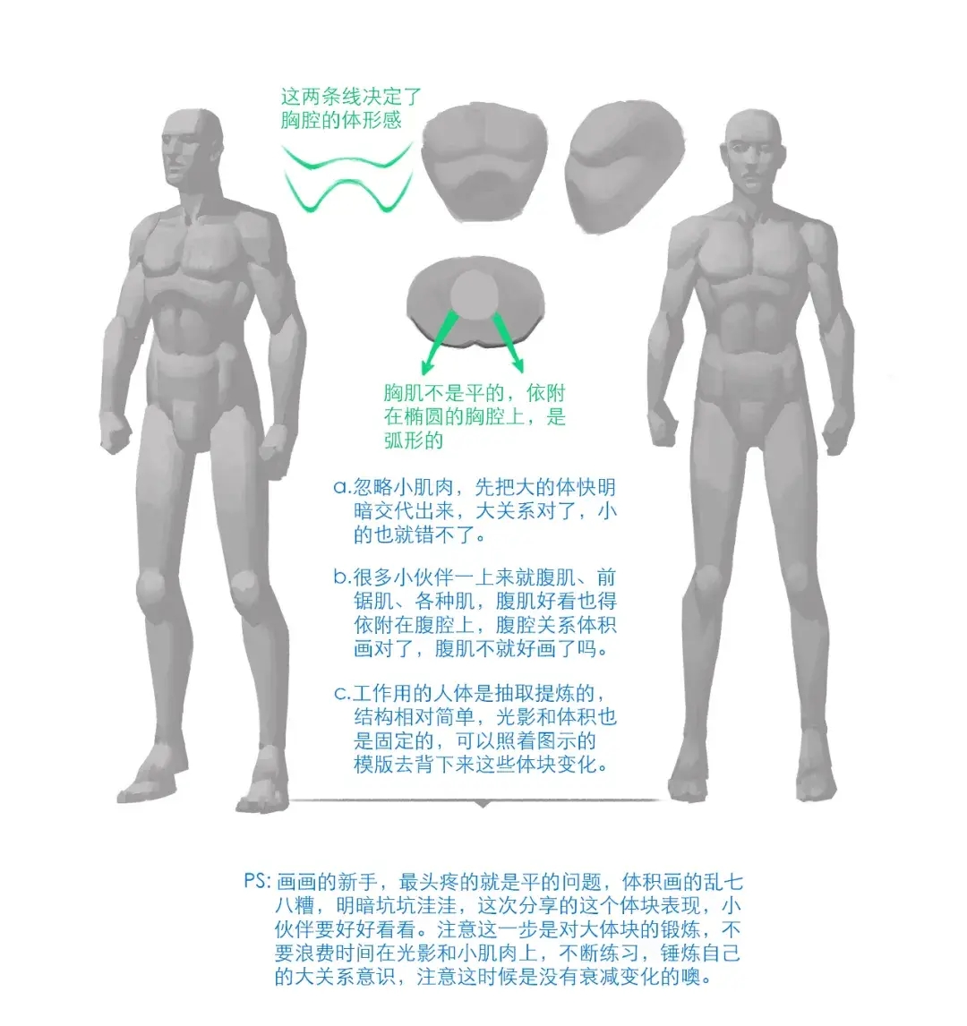 【绘画教程】头像块面绘制和人物体块分析(人体教程)