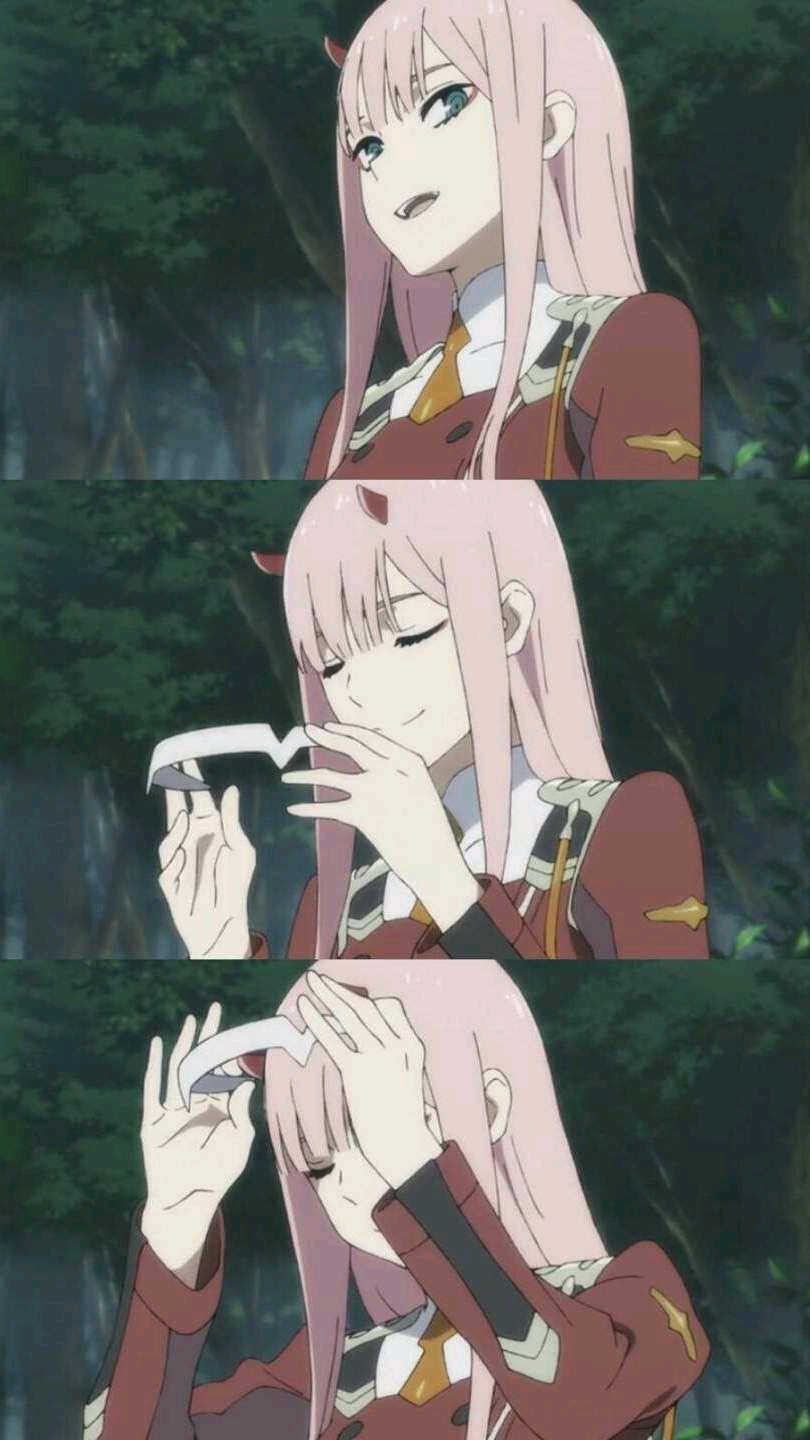 in the franxx 简称国家队,炒鸡好看的,是机甲类题材的番,剧情人设都