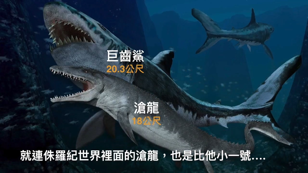 电影《巨齿鲨》和《食人鱼3d》的10大相似点