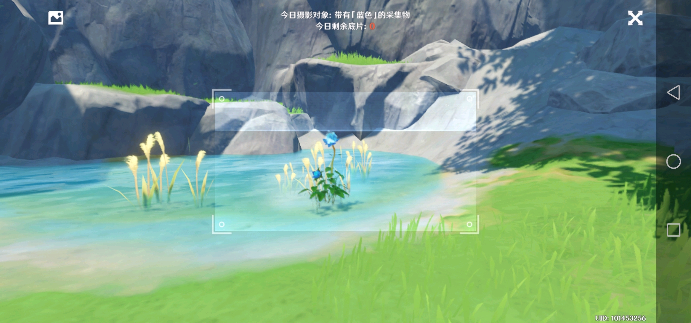 原神福至五彩活动攻略第四天