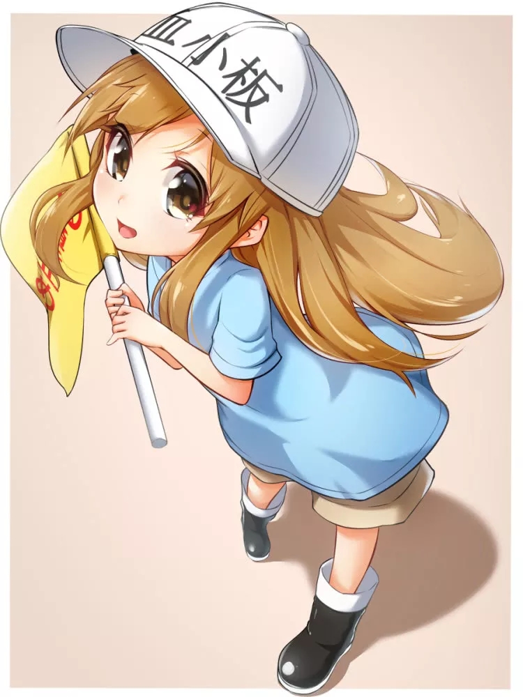 工作细胞 血小板