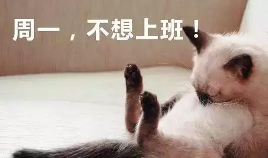 因为周一不想上班的念头,一般是在前一天就开始酝酿了.