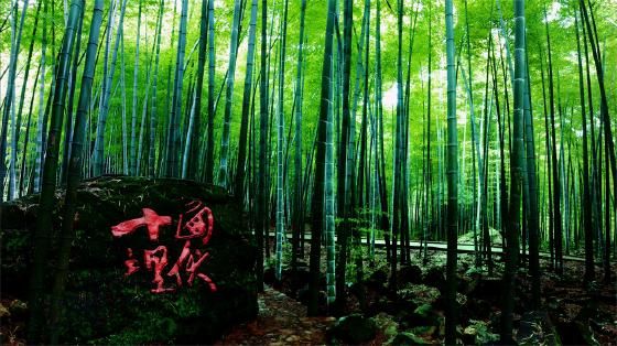 电影《十面埋伏》在该山的取景地