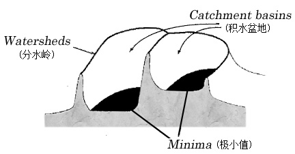 1595498656616592.png image.png