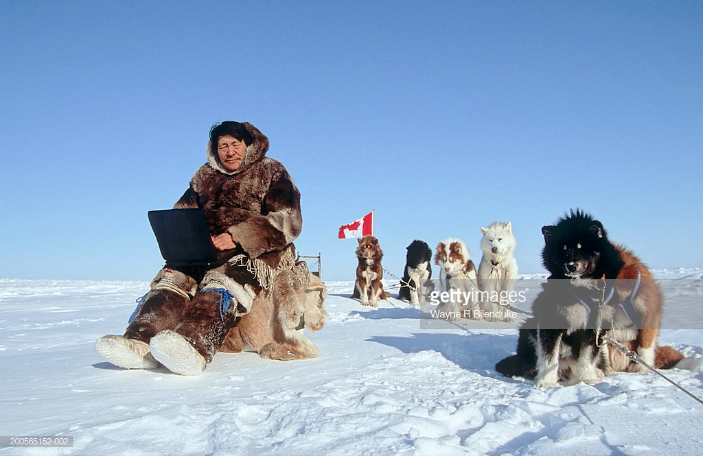 加拿大爱斯基摩犬 北美洲最古老和珍稀的纯种犬之一,雪橇犬