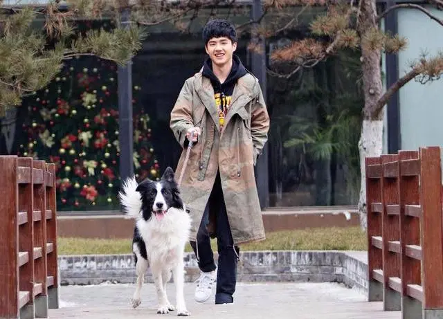 带狗狗出去运动,千万不要这么做,否则可能会让它瘫痪
