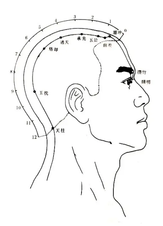 十二经循行经络——足太阳膀胱（八）