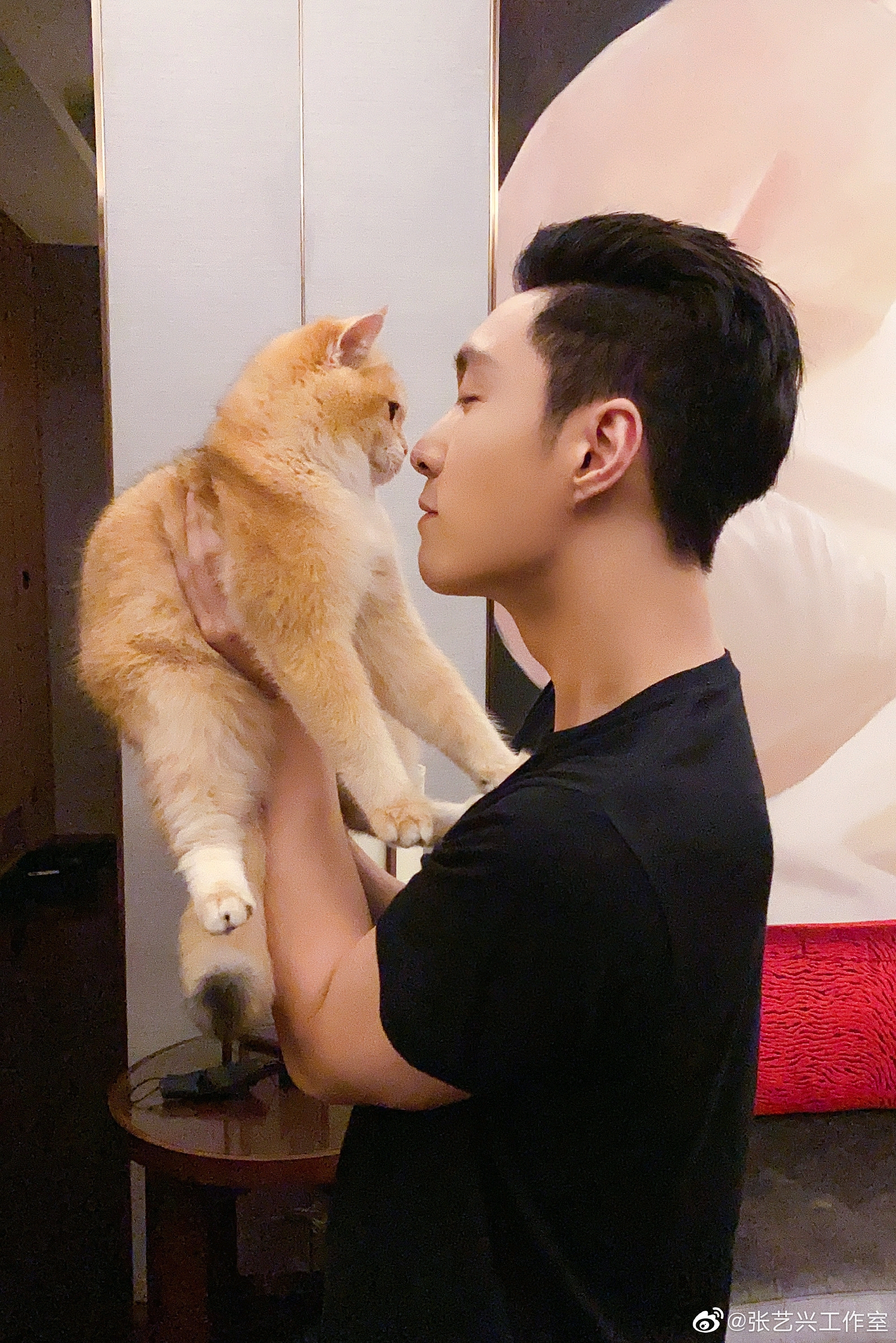 【张艺兴【lay兴】猫不语