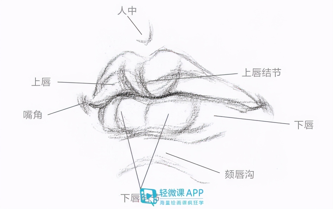 超详细讲解素描基础人物五官画法,收藏学习