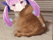 阿夸表情包第四期