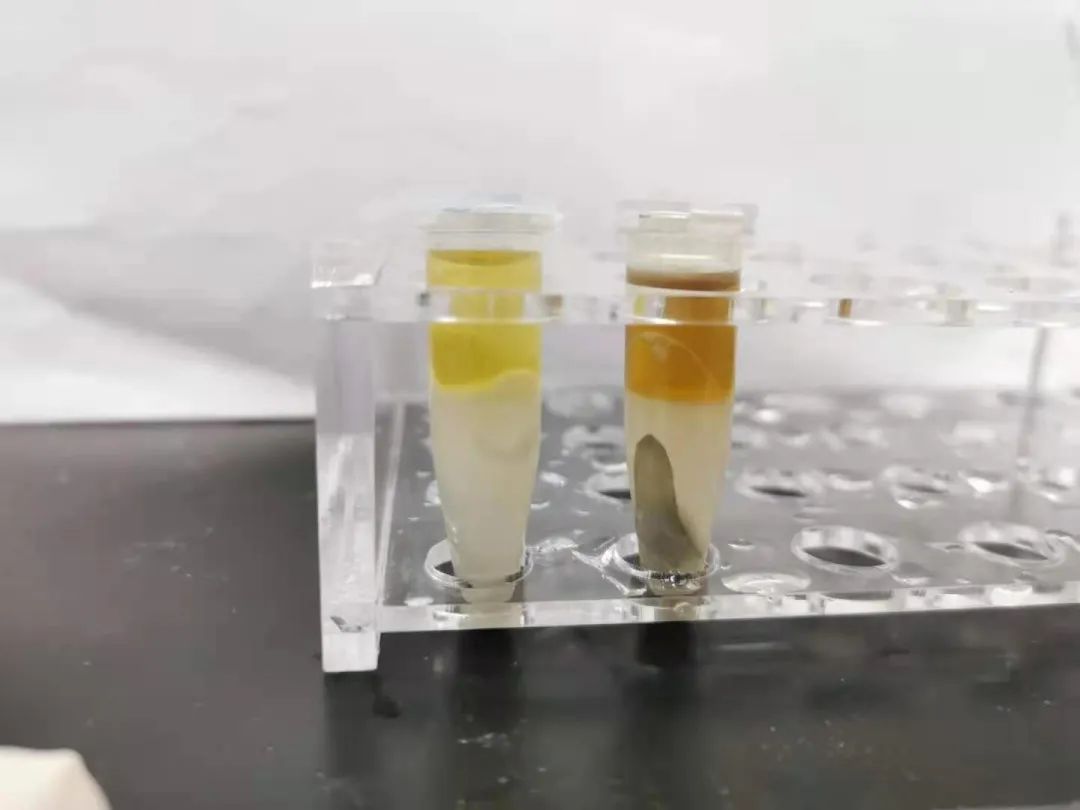 蛋白质组学前处理方法大揭秘!学会了这几招之后