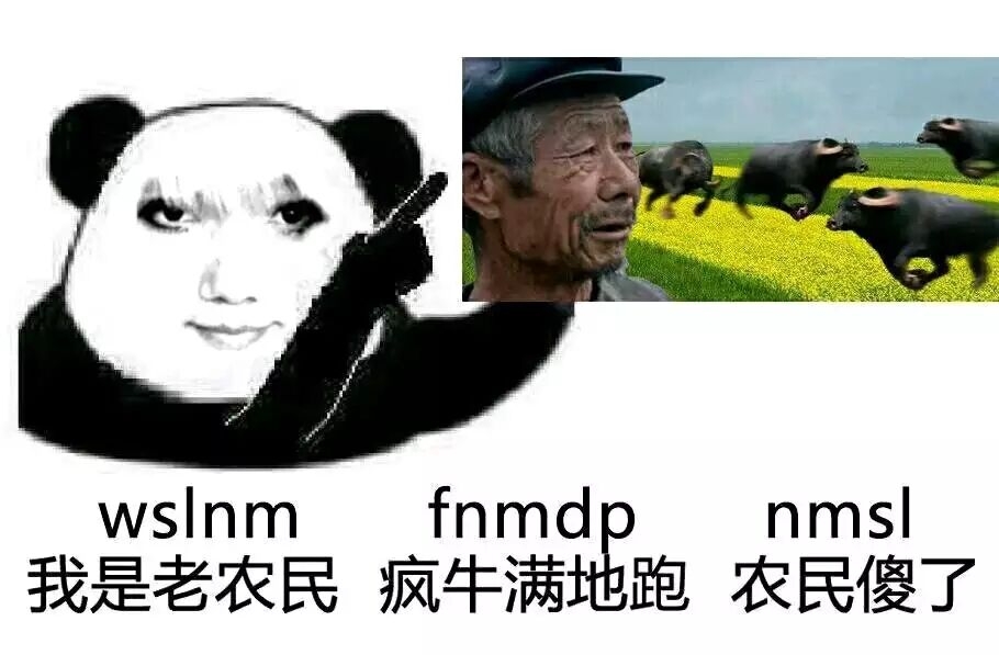 龙图的文化意义浅析