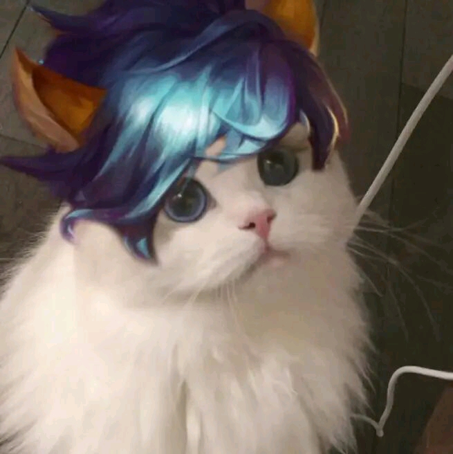 王者荣耀猫猫头像图[2]