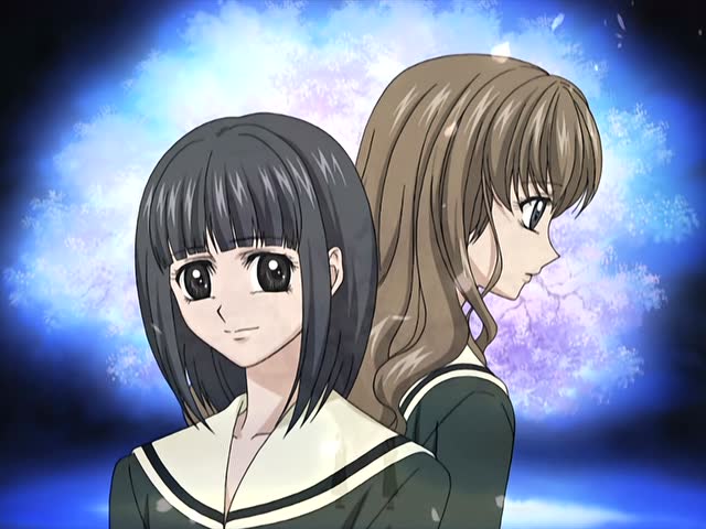 致敬yuri神作--“经典三神作”《圣母在上》作品赏析(四)