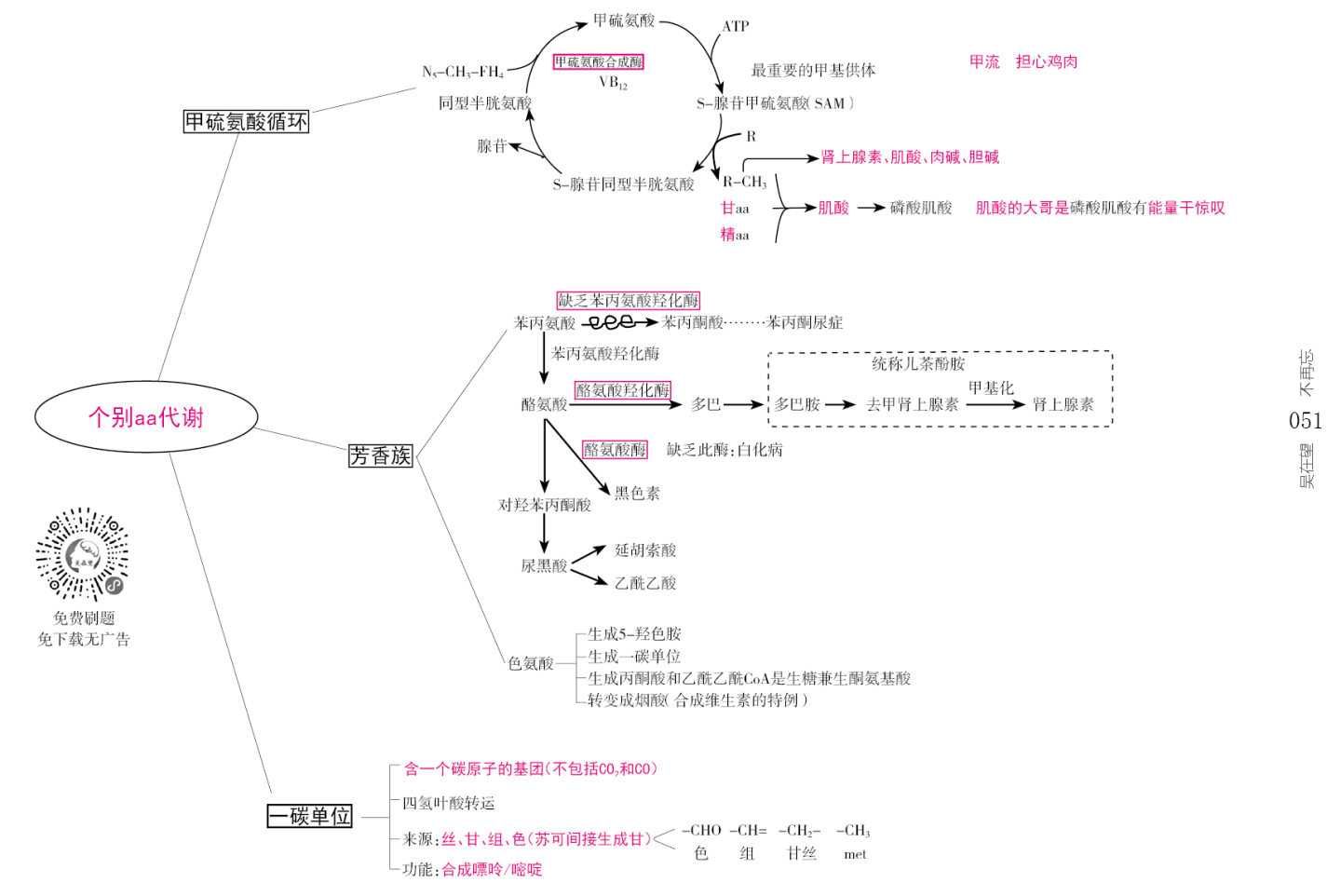 生物化学氨基酸蛋白质代谢思维导图重点汇总串讲必备