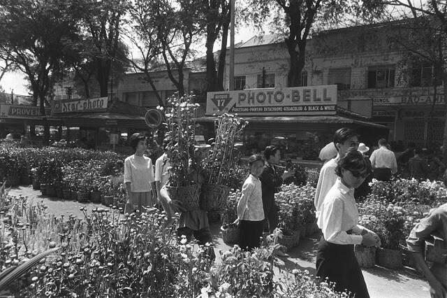 1966年,西贡的一个花卉市场,出售有各种鲜花.