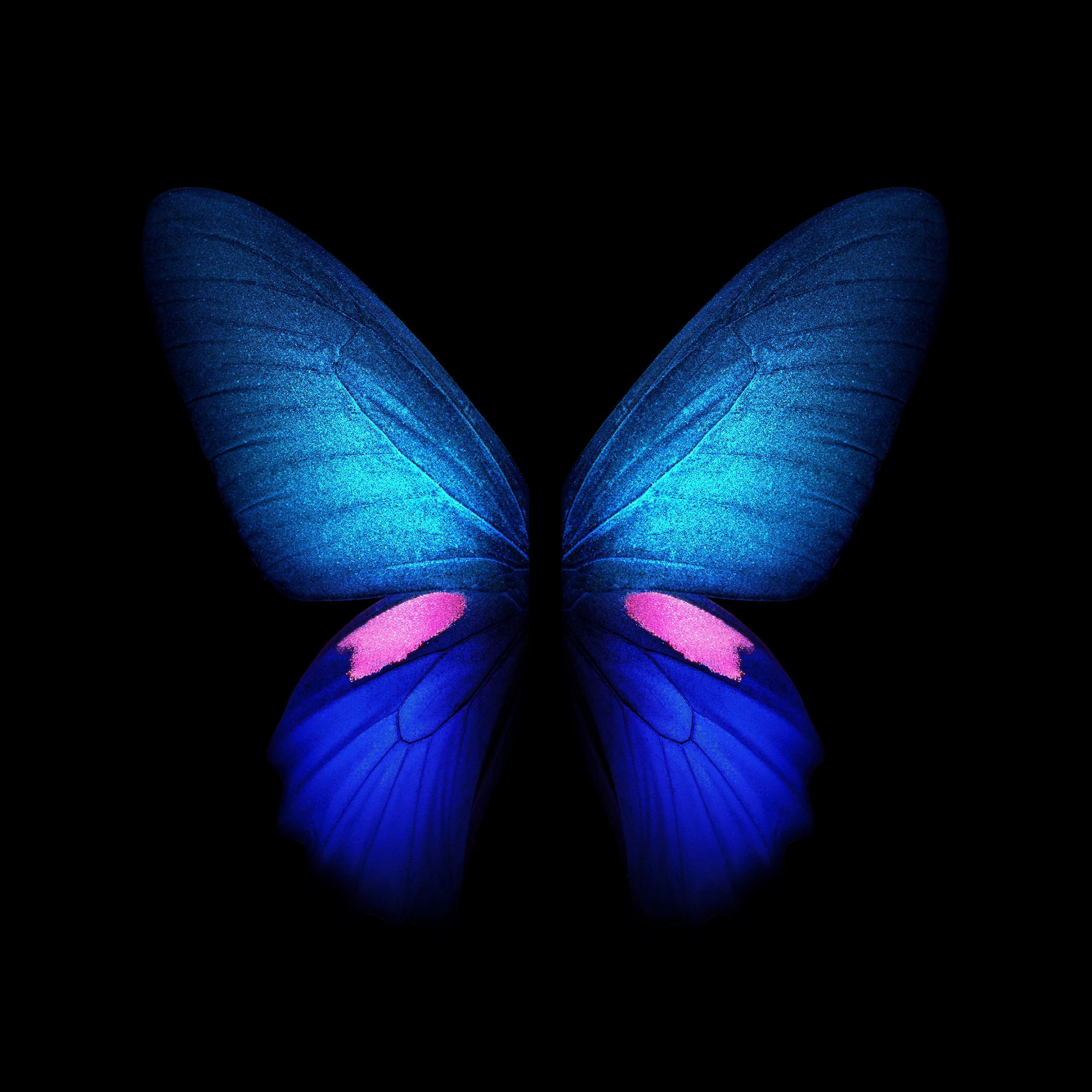 壁纸分享三星w205g原带壁纸视频壁纸刹那