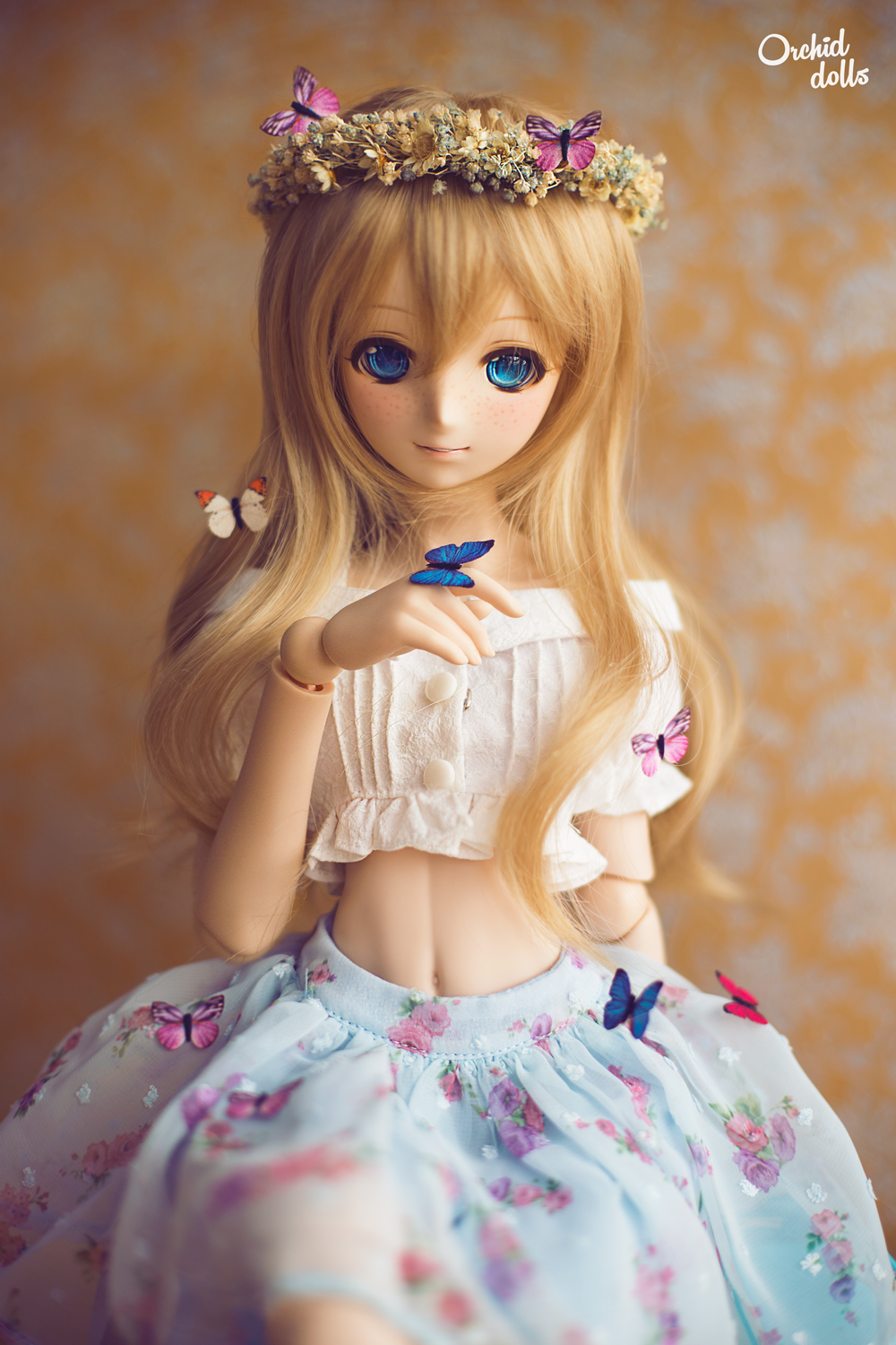 twitter id:orchid_dolls