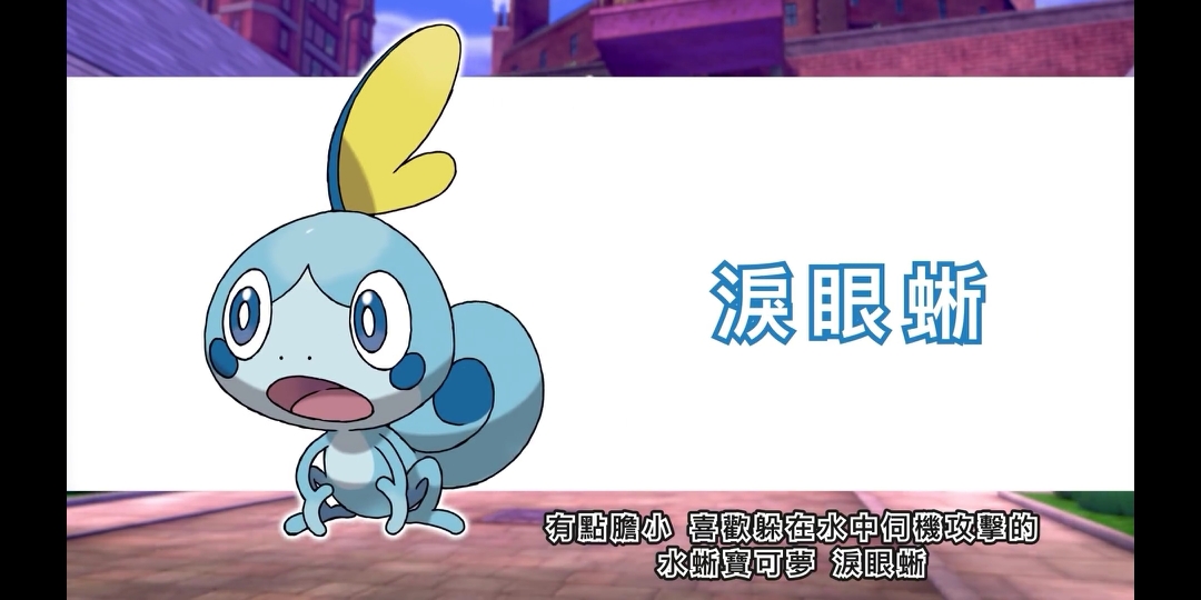 精灵宝可梦第八世代要来啦!各位训练师们都准