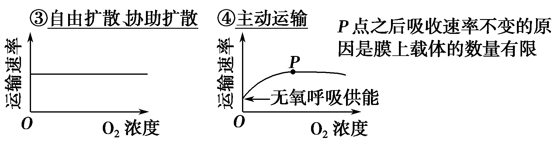 2.关注物质跨膜运输中的6个"不要漏掉"