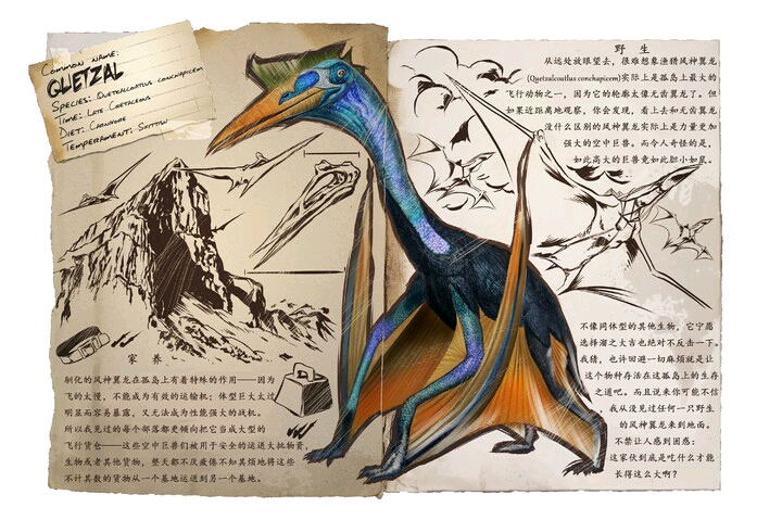 描写风神翼龙的笔记