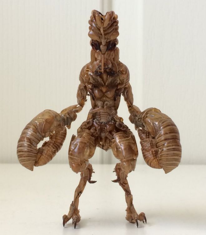 奥特曼巴尔坦星人“蝉壳手办”，日本大神制作，细节创意让人佩服