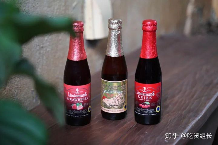 最火的水果味啤酒 19f733777ee7f20ffd66ee1bb952986034d7989c.jpg