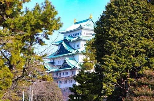 �����ݳ�