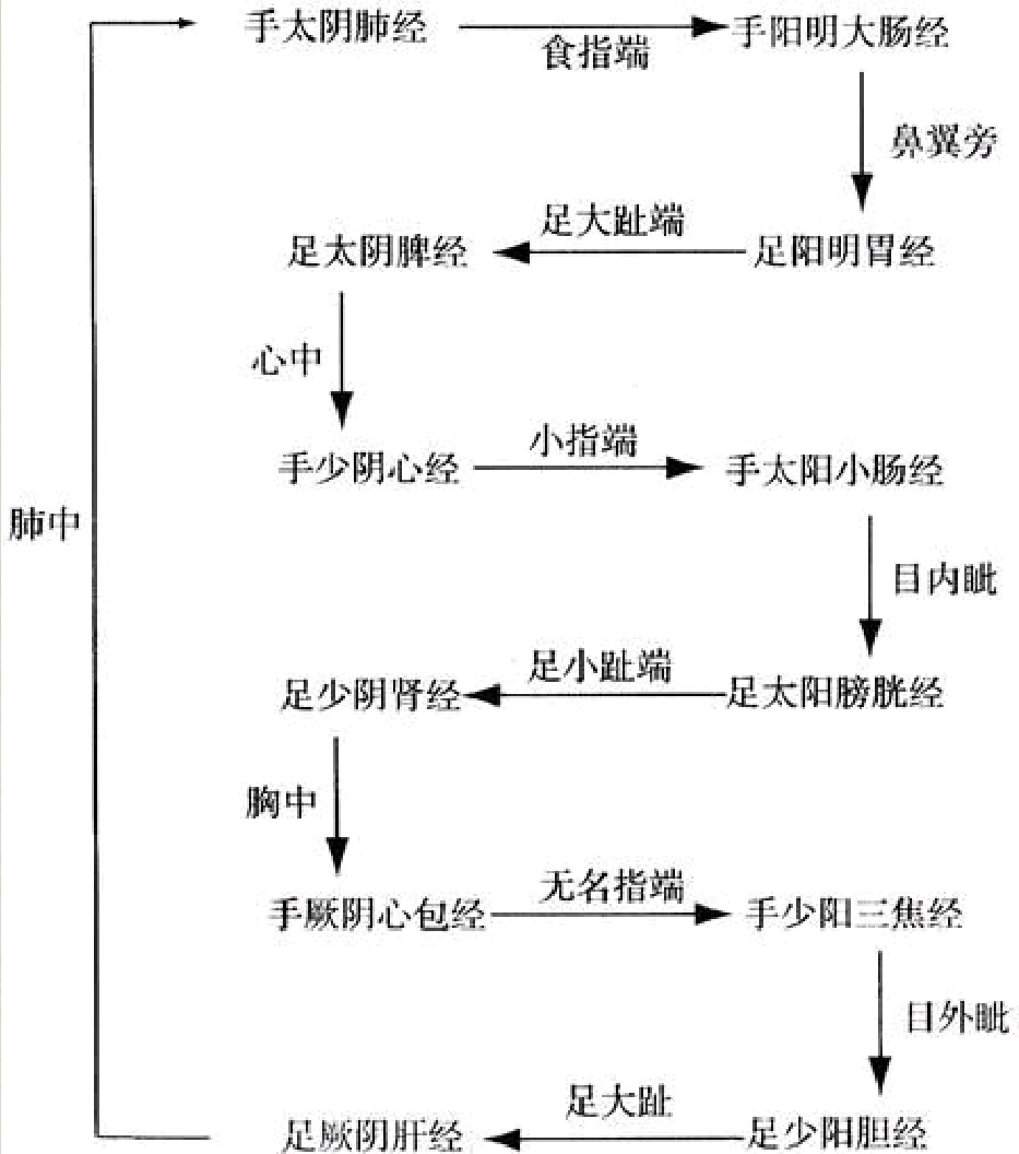 十二经脉循环流注次序