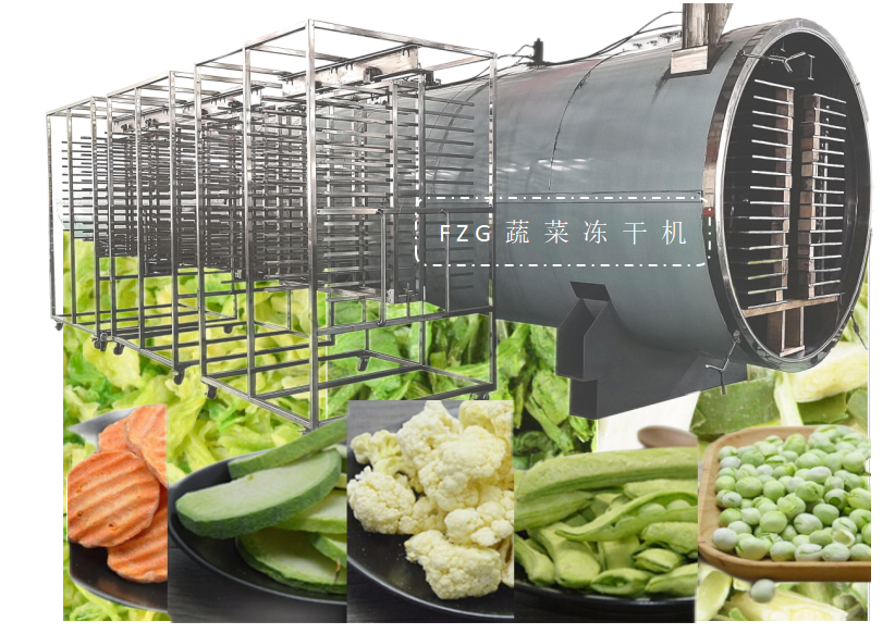 蔬菜冷冻技术,蔬菜冷冻技术四年还新鲜如初
