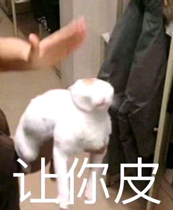 三玖天下第一冲鸭表情包熊猫篇