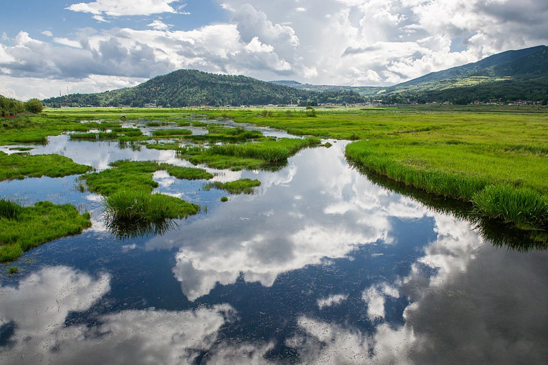 不负银杏不负秋,在腾冲邂逅最美的风景…