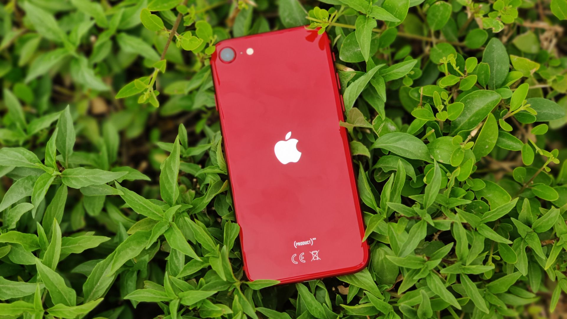 iphone12绿色实机,iphone12绿色真机图 小屏手机的巅峰对决:iphone12mini和iphonese2,谁更适合你?