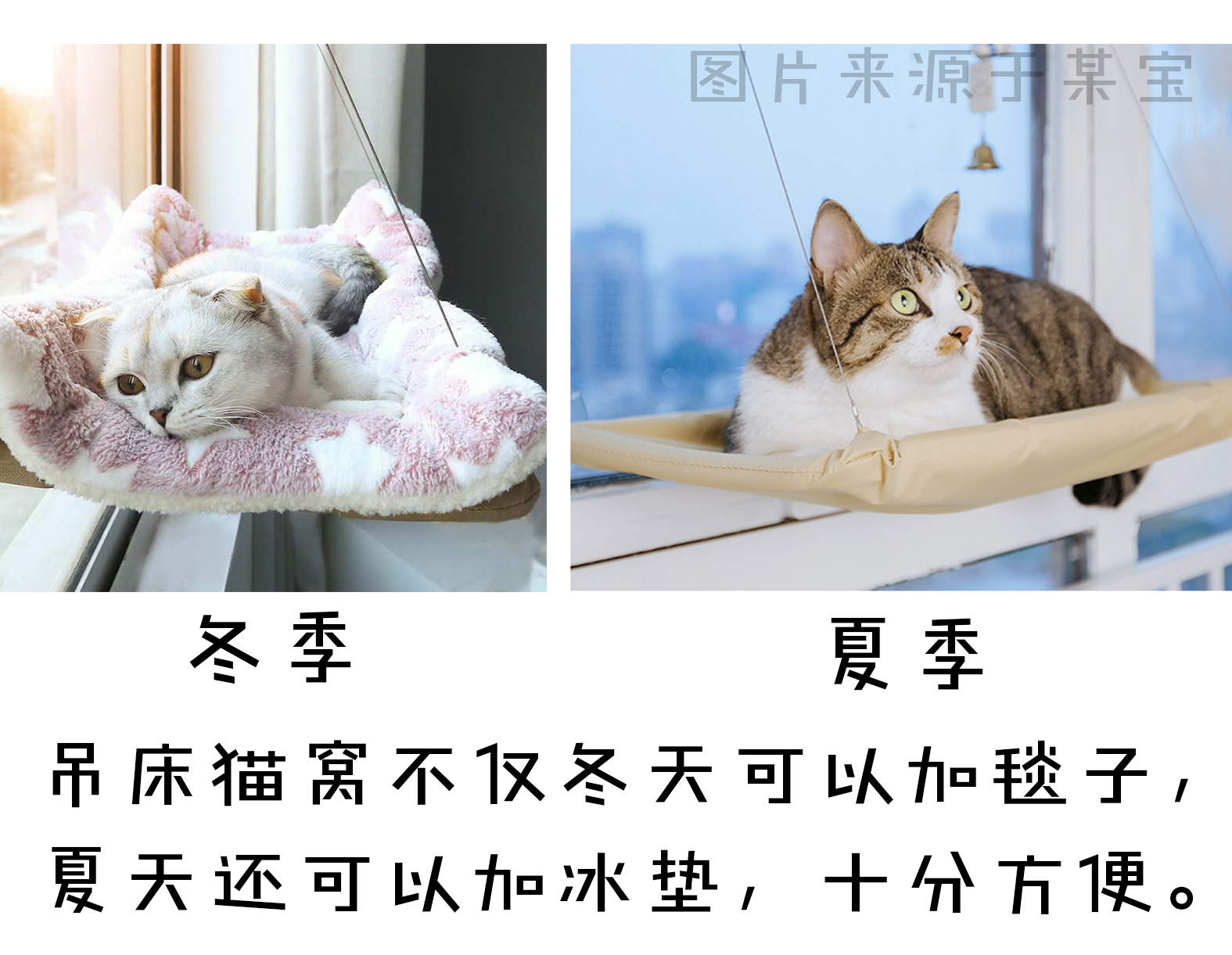 1abcc57ed20d63a3aa79a7fcf03baf58689bdc91.jpg