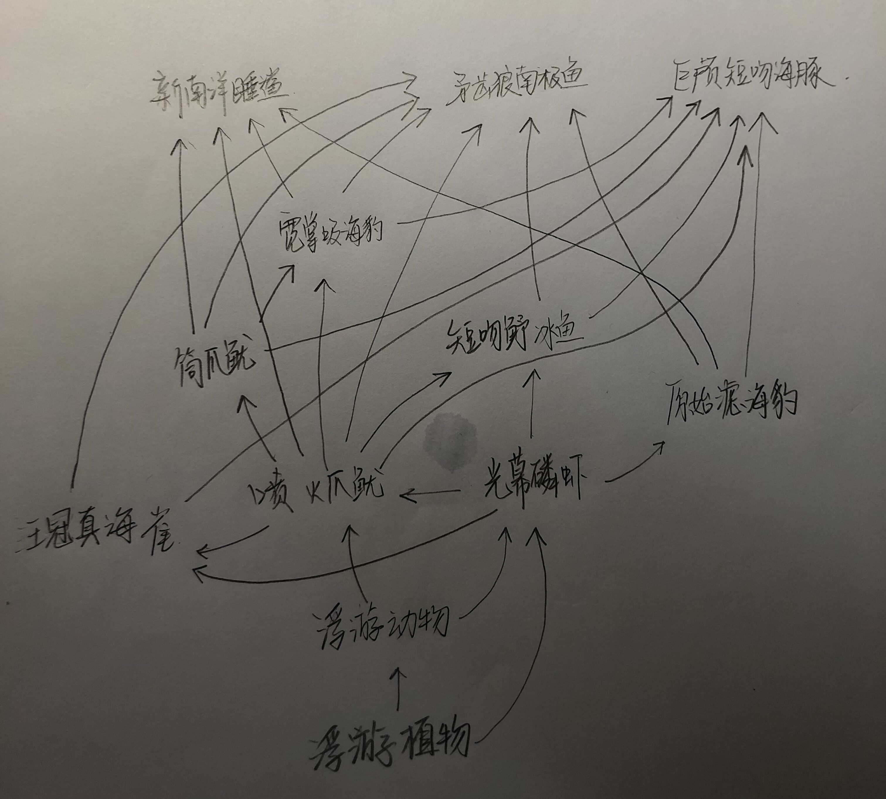 轻小说 同人连载 千万年后的世界6——鲸类重登顶级王座 在这个时期