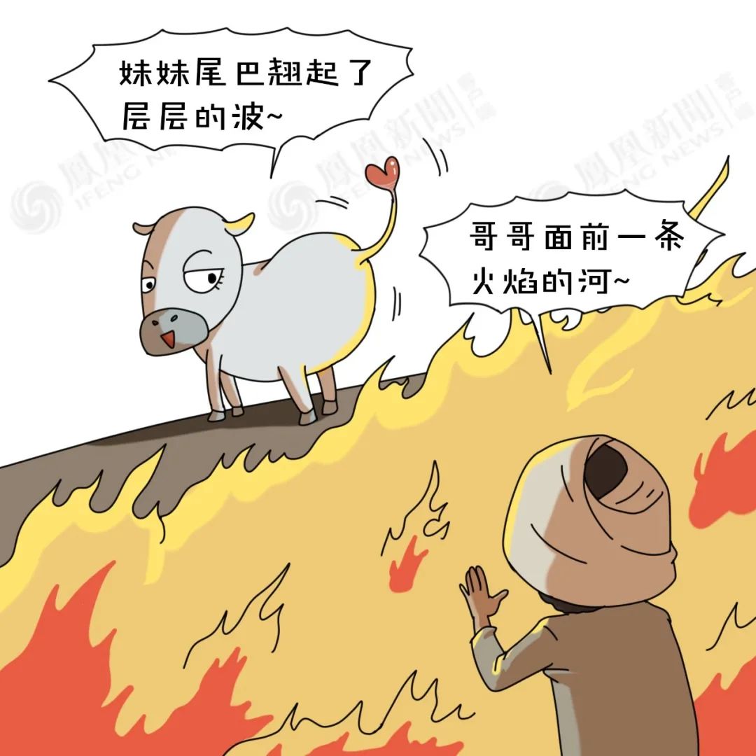 不吹不黑讲讲印度人为什么喝牛尿