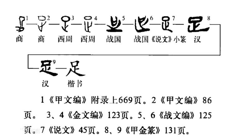 足"足,象形字.甲骨文像连腿带脚的整个下肢.