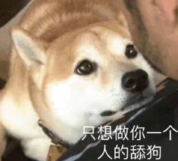 出生到现在,不粉任何人,但我死当牛姨舔狗