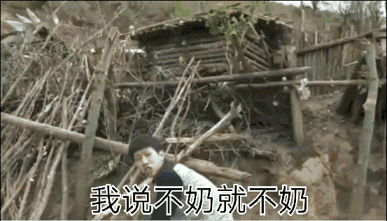 553_316gif 动态图 动图
