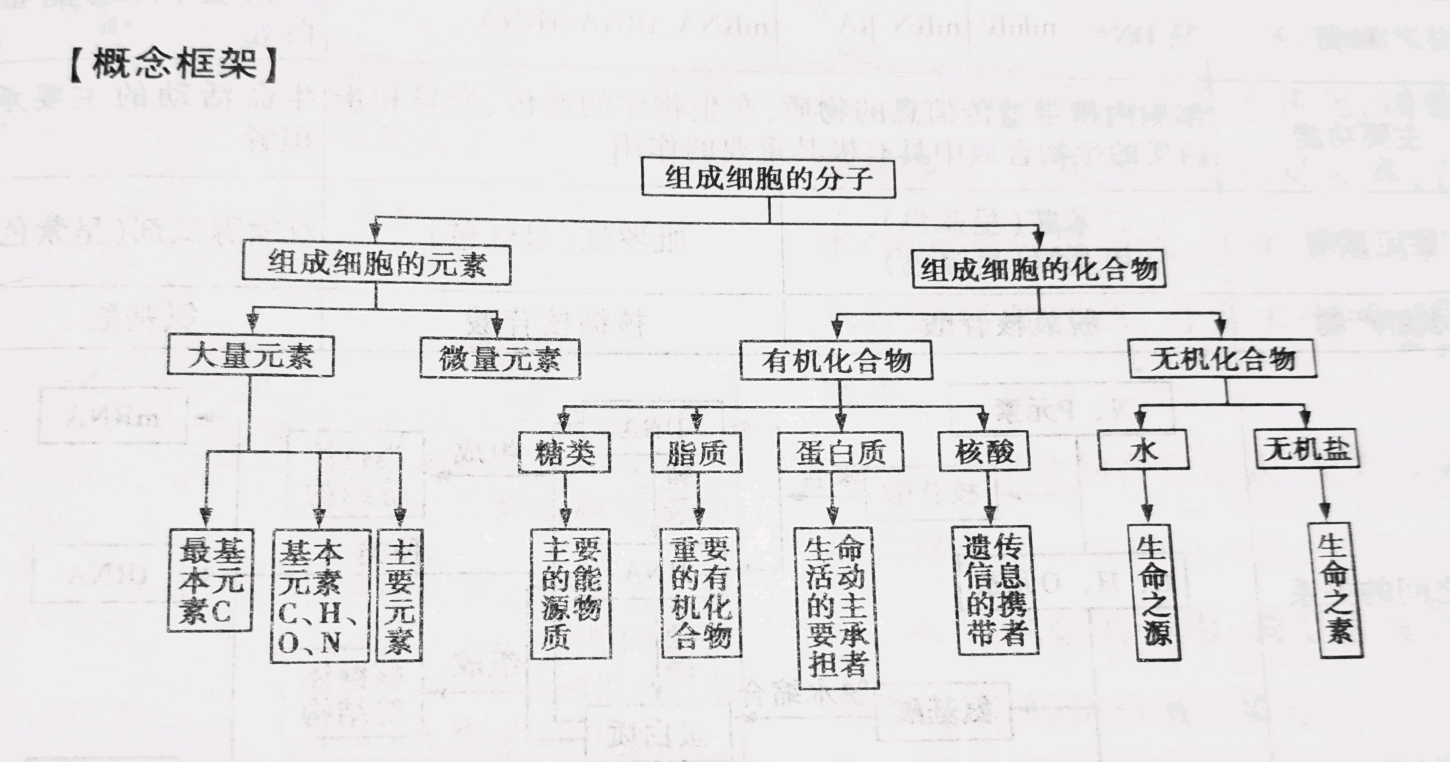 概念框架