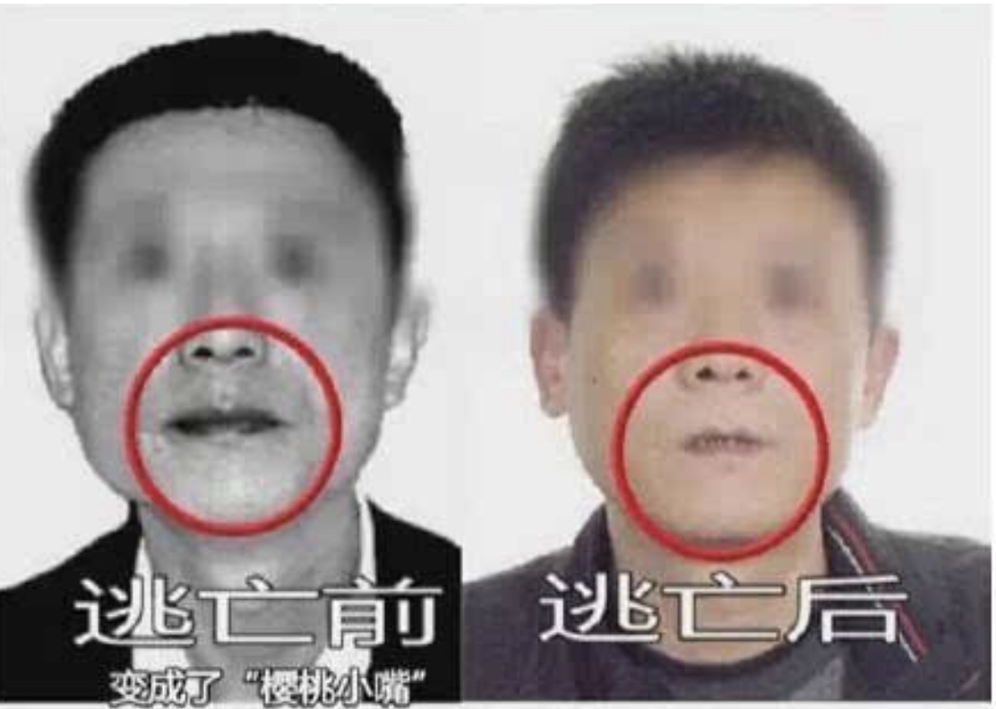 【沙雕新闻】逃犯吃槟榔嘴巴变小了 逃过了好几次警方