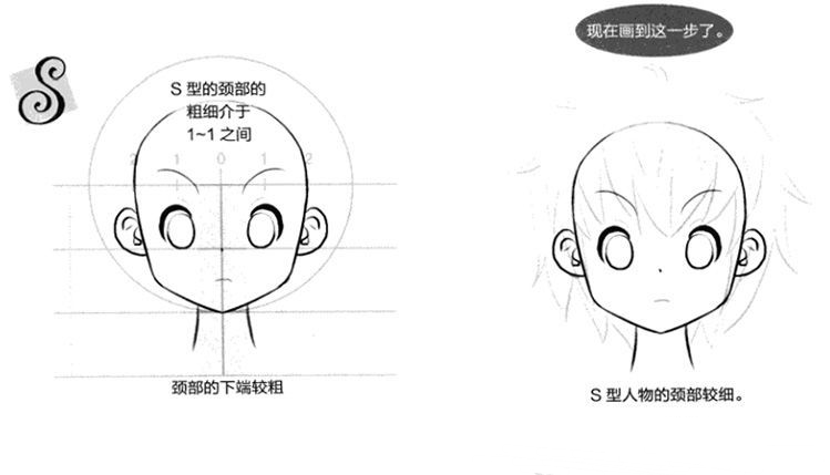 m型的颈部比s型的粗一些,但仍介于1~1之间,颈部的下端较粗.