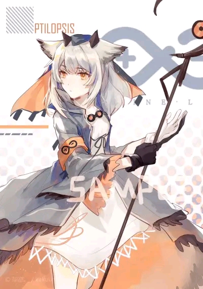 白面鸮.美图壁纸合集①