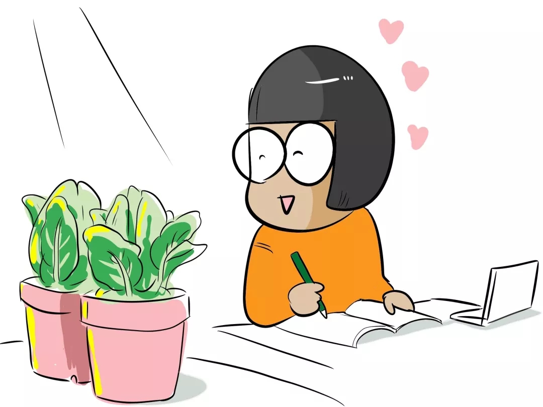为了种菜,他们竟然这么执着.