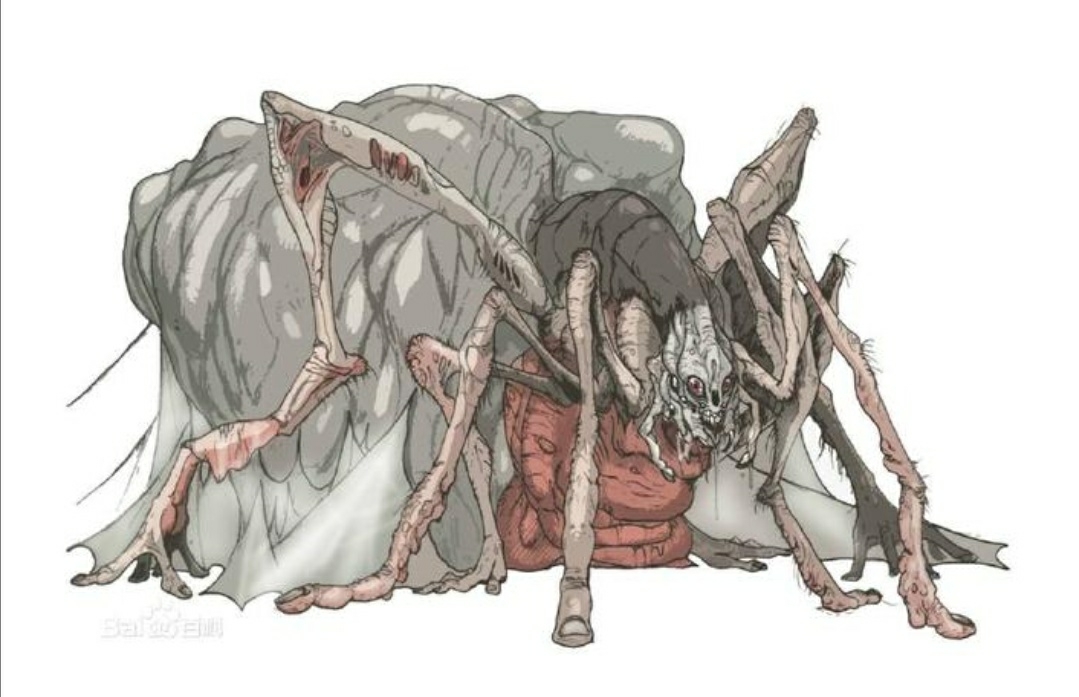 第五人格监管者们的原型(蜘蛛)