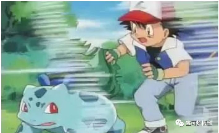 【训练师很难当】关都御三家妙蛙种子,小火龙,杰尼龟要如何饲养呢?