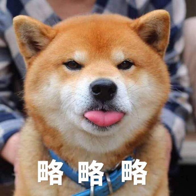 用了久,终于找到1这些表情的本尊了!饲养员图搞笑与动猴图片