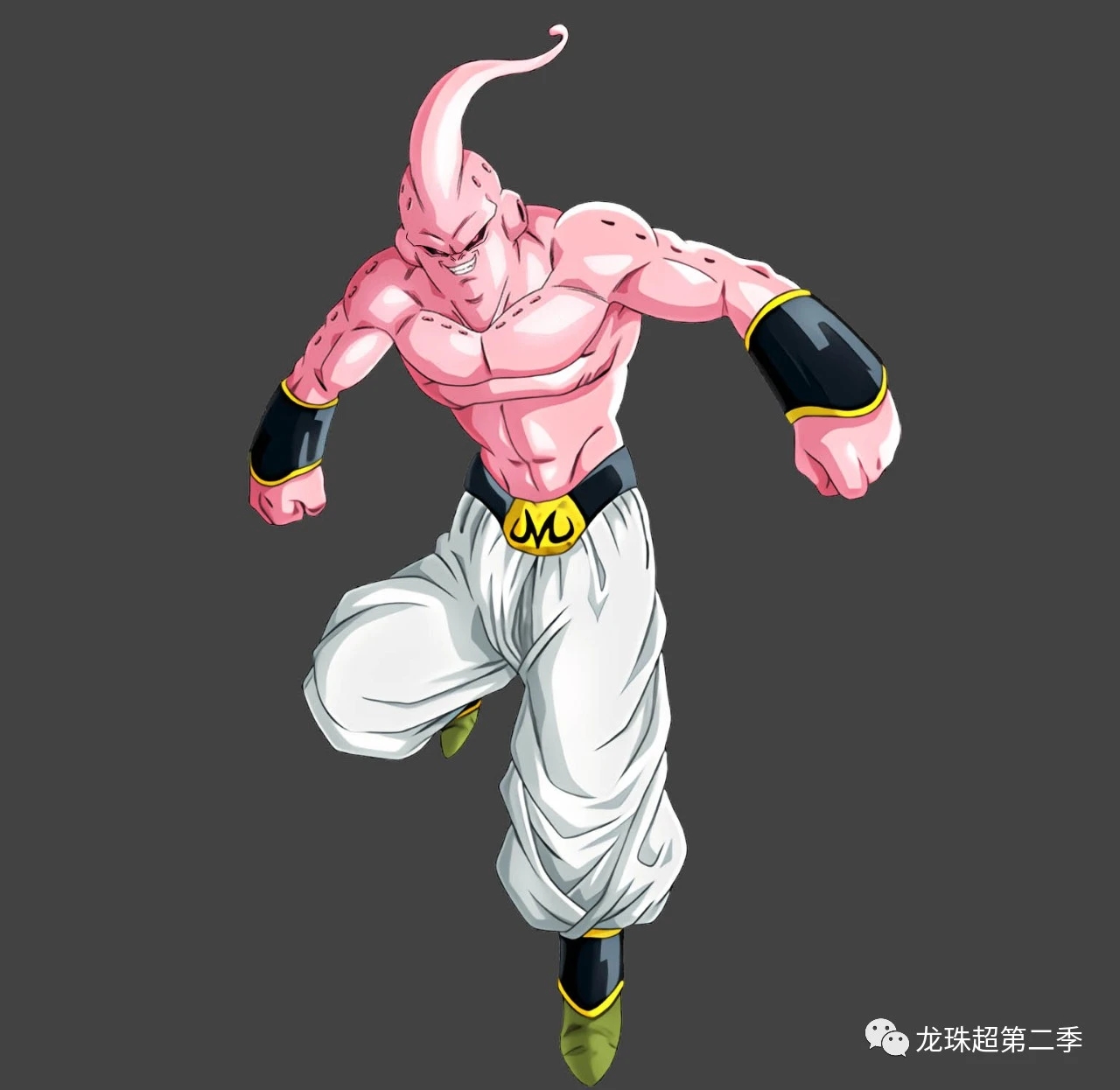 龙珠图集:魔人布欧专辑