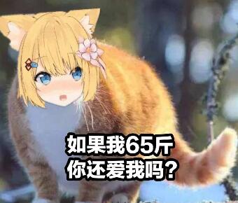 (翻译:你在说什么)欢迎关注花园serena花园猫救援队主编:回光文编:朧